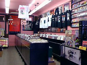Vintage Vinyl Records Store